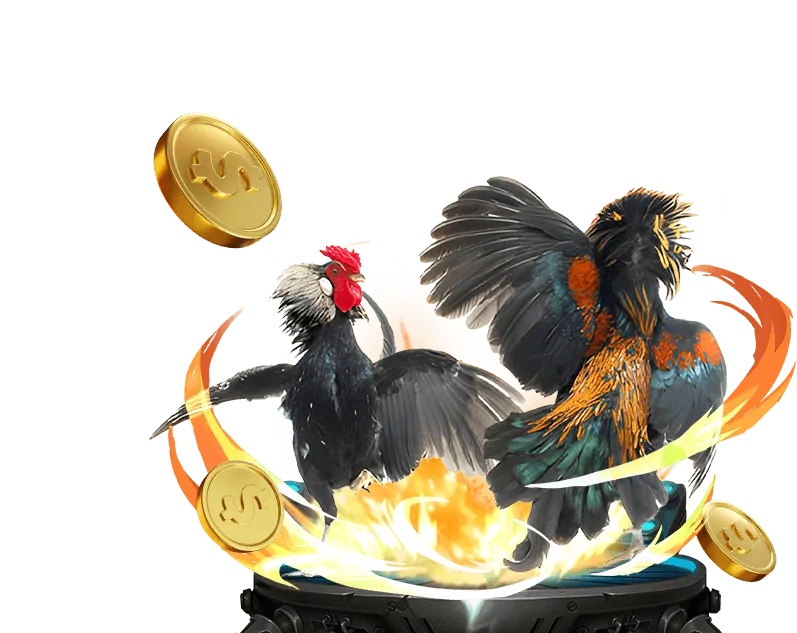 Nền tảng KU11BET KU11 Casino đáng tin cậy